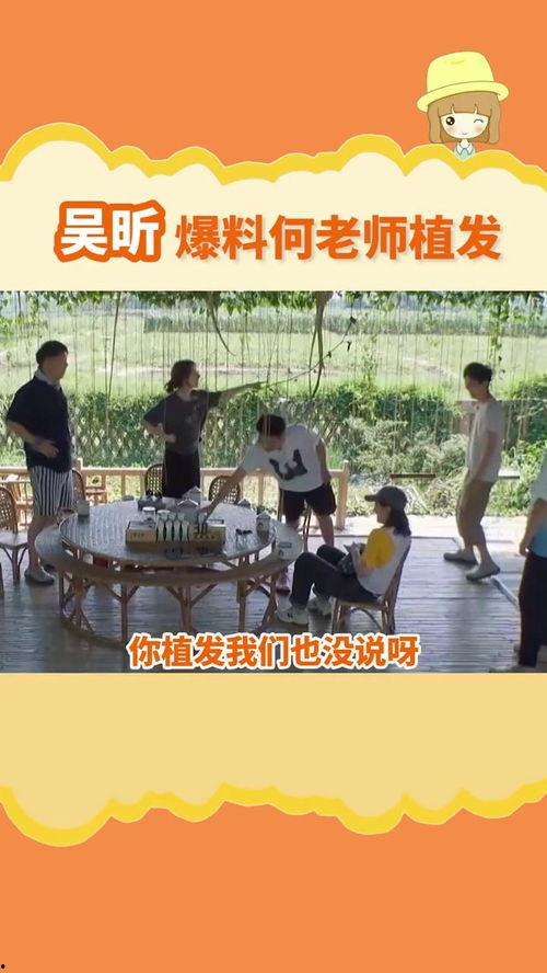 爆料何老师最新,娱乐圈风云再起，幕后真相令人震惊