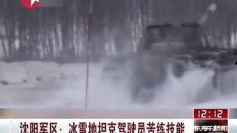 冰雪前线在线观看,在线观看，感受冰雪激情与挑战