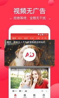 吃瓜视频大爆料合集下载,热门事件幕后真相全解析