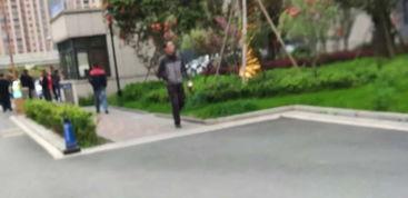 滨江首府爆料事件视频最新,揭露惊人内幕，业主权益受损引关注