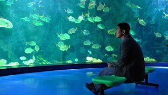 海洋天堂在线观看,探寻深海奥秘的奇幻之旅