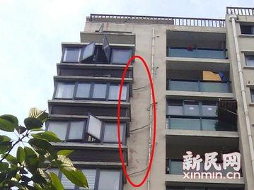 温岭一小区爆料事件最新,业主维权与开发商矛盾升级引发关注