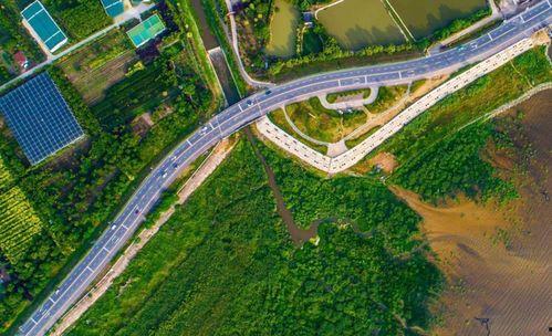 合肥公园爆料事件视频,惊人一幕引发社会关注