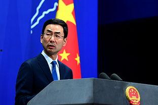 外交部最新爆料消息视频,揭秘国际事件背后真相