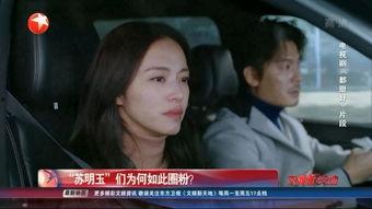 在线观看苏,在线观看的视听盛宴