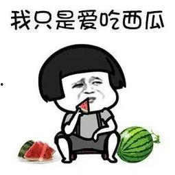 娱乐吃瓜在哪里看,盘点各大平台热门八卦资讯汇总