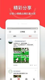 吃瓜娱乐计算机app,揭秘热门计算机APP的魅力