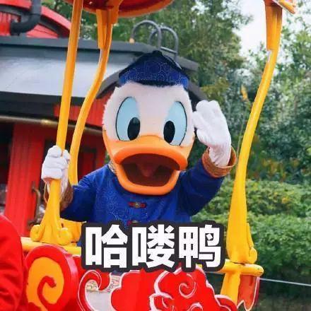 娱乐鸭娱乐吃瓜君,揭秘娱乐圈最新热点事件