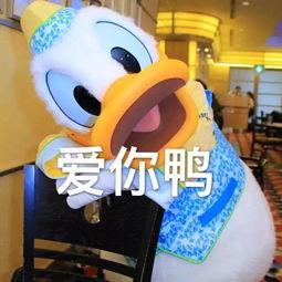 娱乐鸭娱乐吃瓜君,揭秘娱乐圈最新热点事件