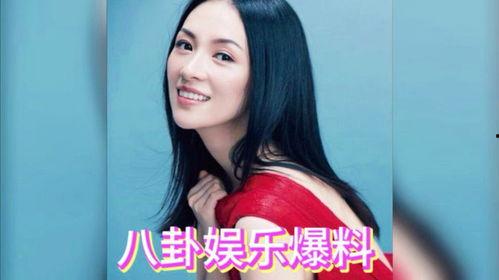 娱乐吃瓜 明星有哪些小说,明星们的小说世界